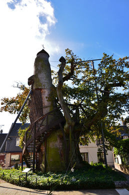 Độc đáo nhà nguyện trong cây sồi 1.000 tuổi ở Pháp - Hình 9 Doc dao nha nguyen trong cay soi 1.000 tuoi o Phap-Hinh-9