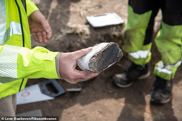 Bi mat ve “mo thuyen” cua nguoi Viking nghi chon cat nha vua-Hinh-7