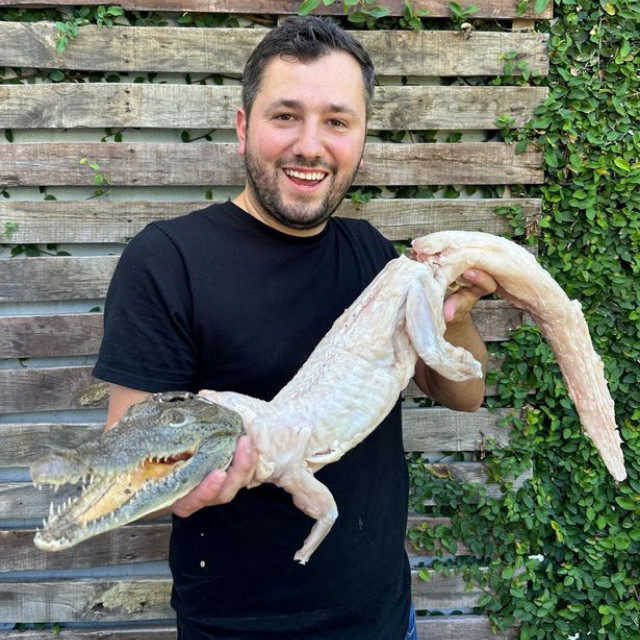 Ớn tới óc món cá sấu nướng nguyên con ngậm táo đỏ - Hình 3 On toi oc mon ca sau nuong nguyen con ngam tao do-Hinh-3