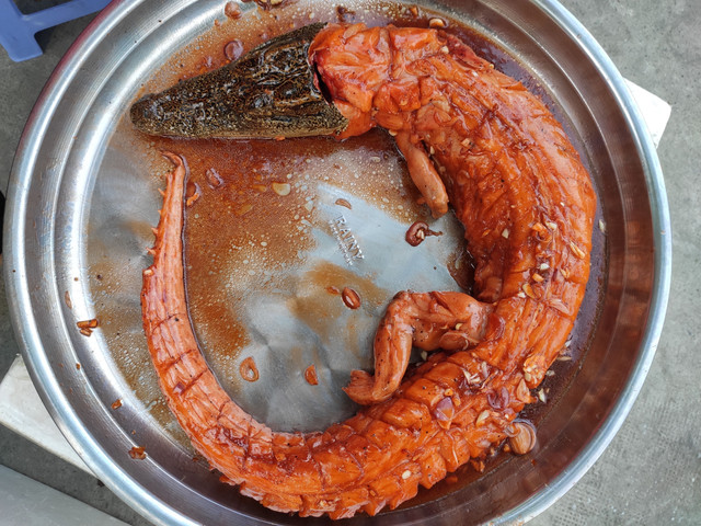 Ớn tới óc món cá sấu nướng nguyên con ngậm táo đỏ - Hình 10 On toi oc mon ca sau nuong nguyen con ngam tao do-Hinh-10