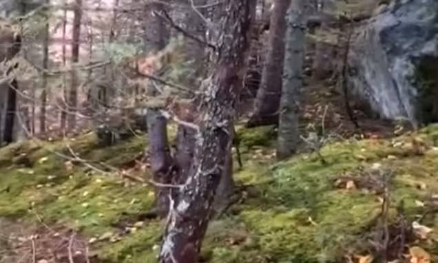 Dieu gi xay ra o vung dat ky la biet “tho” nhu con nguoi?-Hinh-9