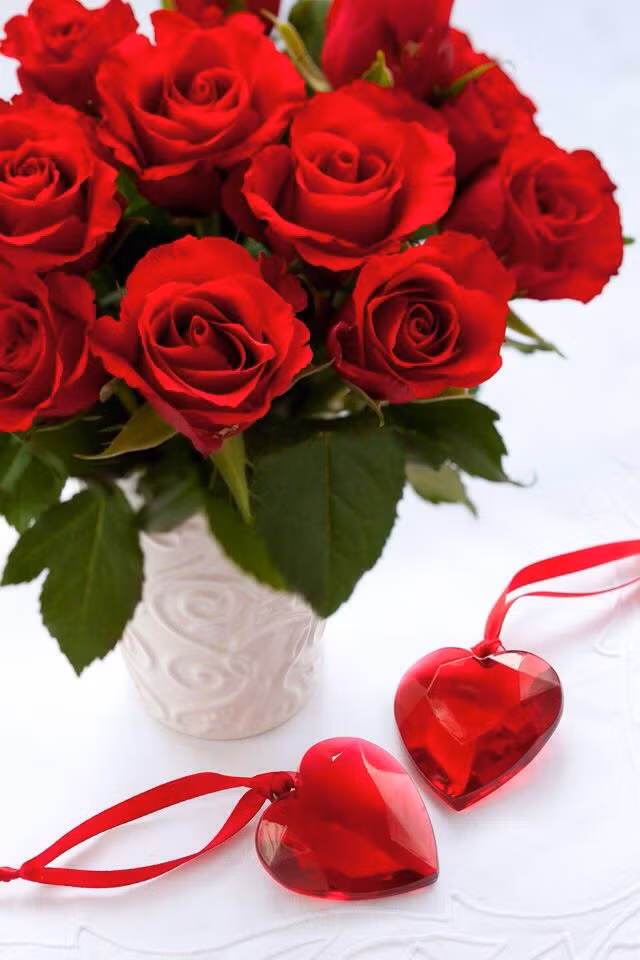 Vì sao các cặp tình nhân thường tặng hoa hồng đỏ ngày Valentine? - Hình 2 Vi sao cac cap tinh nhan thuong tang hoa hong do ngay Valentine?-Hinh-2
