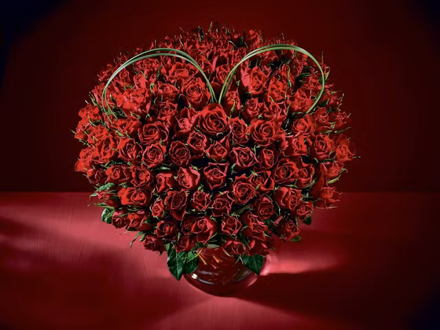 Vì sao các cặp tình nhân thường tặng hoa hồng đỏ ngày Valentine? - Hình 4 Vi sao cac cap tinh nhan thuong tang hoa hong do ngay Valentine?-Hinh-4