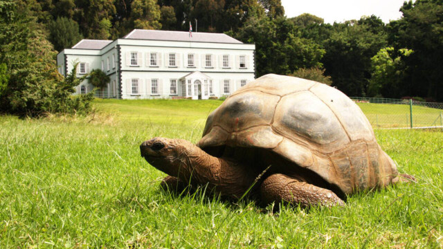 'Cu rua' khong lo co ten Jonathan don tuoi 192-Hinh-7