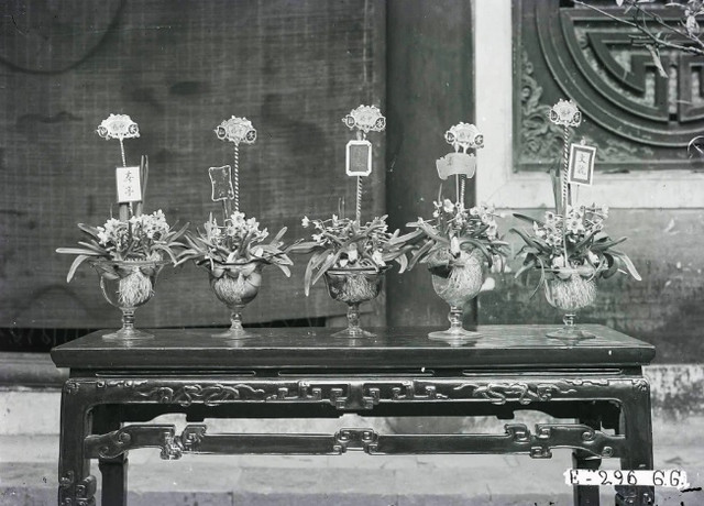 Ngắm không khí Tết Nguyên đán Bắc Bộ 100 năm trước cực chân thực - Hình 5 Ngam khong khi Tet Nguyen dan Bac Bo 100 nam truoc cuc chan thuc-Hinh-5