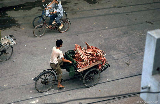 Ảnh đời thường gần gũi của Hà Nội những năm 1990 - Hình 2 Anh doi thuong gan gui cua Ha Noi nhung nam 1990-Hinh-2