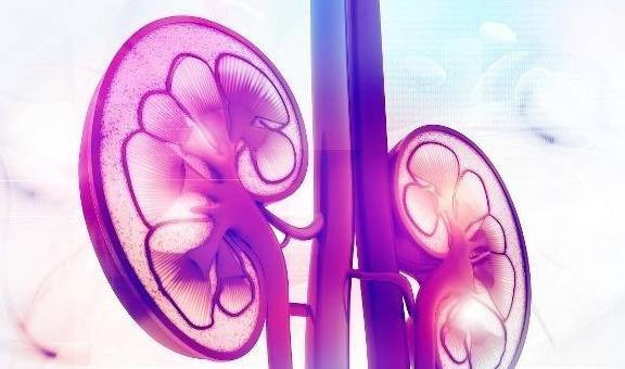 Sáng dậy thấy bộ phận này cứng cáp thì thận cực khoẻ Sang day thay bo phan nay cung cap thi than cuc khoe