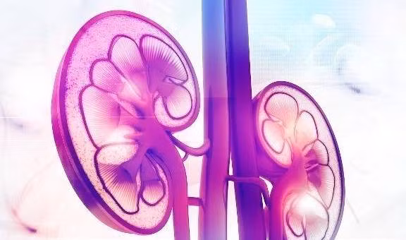 Sang day thay bo phan nay cung cap thi than cuc khoe