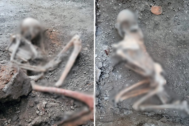 Thi hài của người phụ nữ nằm trên giường xung quanh là trang sức - Hình 6 Thi hai cua nguoi phu nu nam tren giuong xung quanh la trang suc-Hinh-6