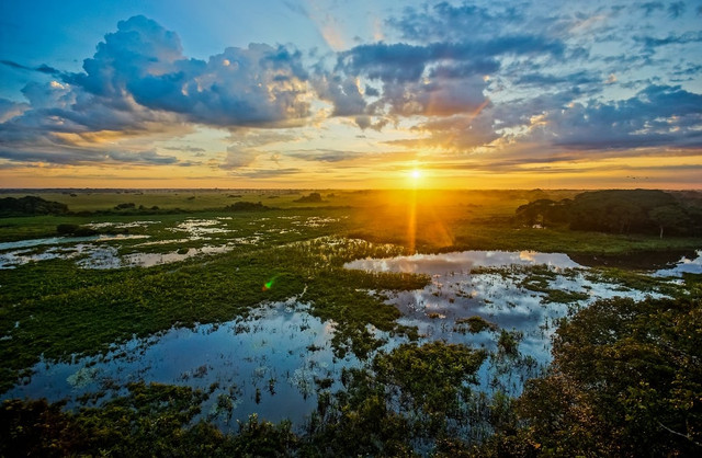Pantanal là vương quốc của 'quái vật' khổng lồ - Hình 2 Pantanal la vuong quoc cua 'quai vat' khong lo-Hinh-2