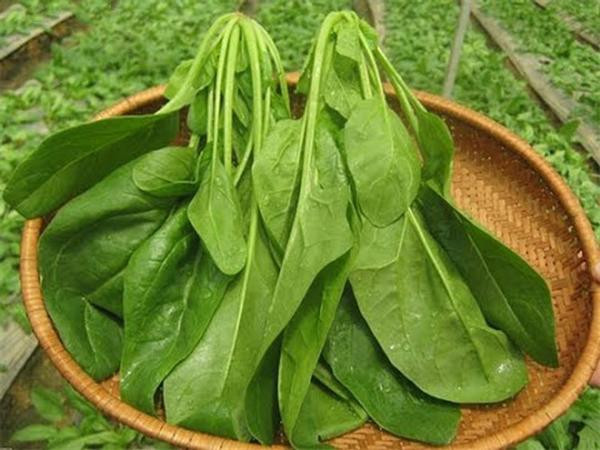 Lưu ý 5 món thực phẩm không nên để qua đêm rồi hâm nóng - Hình 6 Luu y 5 mon thuc pham khong nen de qua dem roi ham nong-Hinh-6
