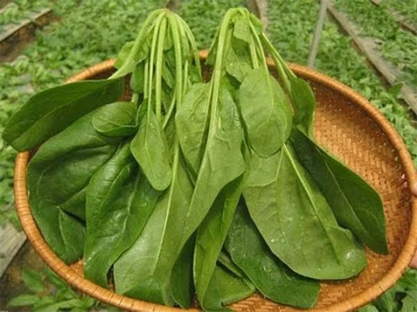 5 loai rau bo duong nhat khi duoc nau chin-Hinh-11