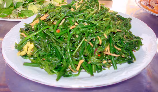 Nhung loai rau dai ngon nhung cung rat doc-Hinh-8