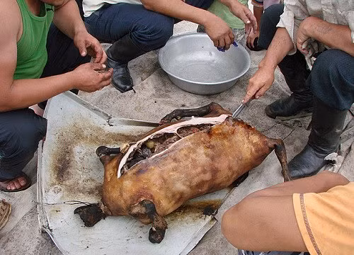 Choang voi mon Boodog 'de nhoi da nong' nguoi Mong Co co mot khong hai-Hinh-6