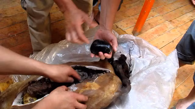 Choang voi mon Boodog 'de nhoi da nong' nguoi Mong Co co mot khong hai-Hinh-8