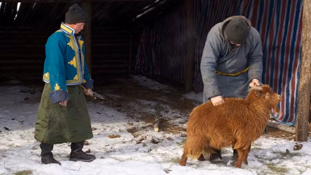 Choang voi mon Boodog 'de nhoi da nong' nguoi Mong Co co mot khong hai-Hinh-2