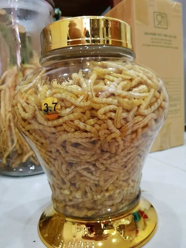 Rùng mình món ăn từ côn trùng được ví là “xuân dược” cho phái mạnh - Hình 2 Rung minh mon an tu con trung duoc vi la “xuan duoc” cho phai manh-Hinh-2