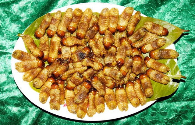 Rùng mình món ăn từ côn trùng được ví là “xuân dược” cho phái mạnh - Hình 9 Rung minh mon an tu con trung duoc vi la “xuan duoc” cho phai manh-Hinh-9