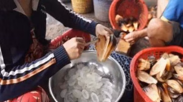 Loai qua xau xi nhung la dac san ngon nuc tieng mien Tay-Hinh-3