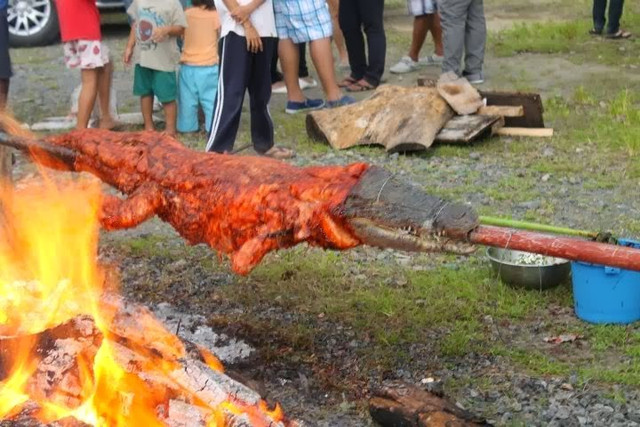 Hãi hùng món cá sấu nướng nguyên con thơm lừng ở Phillippines Hai hung mon ca sau nuong nguyen con thom lung o Phillippines