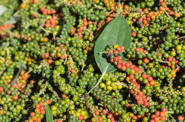 9 dac san Phu Quoc doc dao nhat nen thu mot lan-Hinh-3