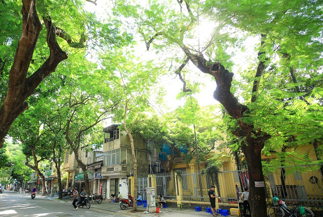 Loạt bất động sản bị kê biên của cựu Chủ tịch AIC Nguyễn Thị Thanh Nhàn - Hình 8 Loat bat dong san bi ke bien cua cuu Chu tich AIC Nguyen Thi Thanh Nhan-Hinh-8