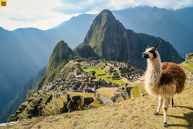 Người Inca xây thánh địa Machu Picchu như thế nào? Nguoi Inca xay thanh dia Machu Picchu nhu the nao?