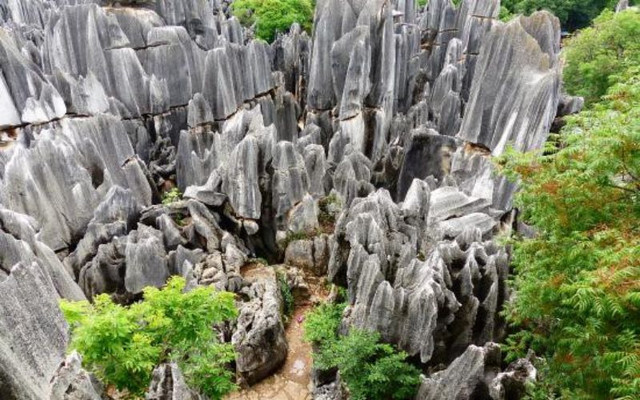 Ngắm Hoa quả sơn bối cảnh nơi Tôn Ngộ Không chào đời - Hình 3 Ngam Hoa qua son boi canh noi Ton Ngo Khong chao doi-Hinh-3