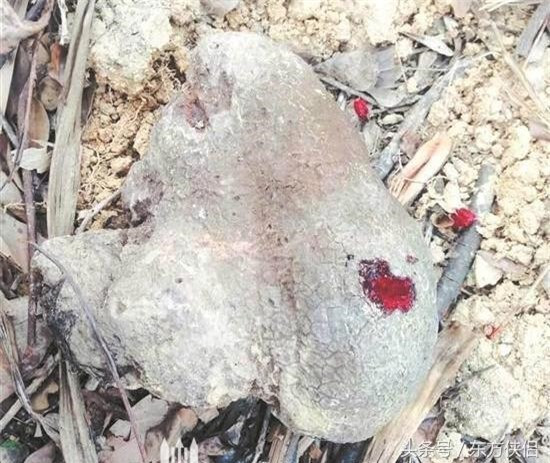 Bí mật động trời về hoàng đế xưa được hé lộ khi tìm thấy hòn đá 'chảy máu' Bi mat dong troi ve hoang de xua duoc he lo khi tim thay hon da 'chay mau'