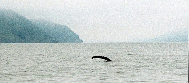 Quái vật hồ Loch Ness trồi lên để hít thở không khí như nào? - Hình 7 Quai vat ho Loch Ness troi len de hit tho khong khi nhu nao?-Hinh-7