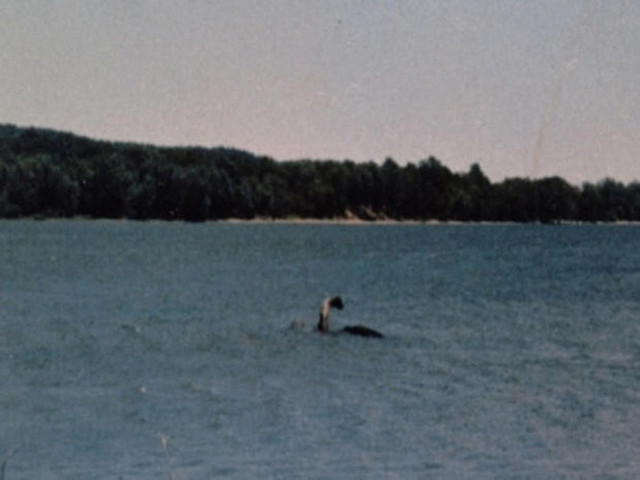 Quái vật hồ Loch Ness trồi lên để hít thở không khí như nào? - Hình 6 Quai vat ho Loch Ness troi len de hit tho khong khi nhu nao?-Hinh-6