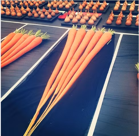 Chiem nguong voi loai rau cu 