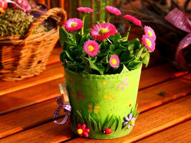 Loạt cây lọc sạch không khí, trồng trong nhà giúp bạn dễ chịu, ngủ ngon - Hình 3 Loat cay loc sach khong khi, trong trong nha giup ban de chiu, ngu ngon-Hinh-3