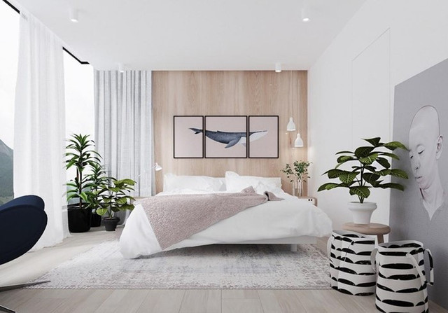 Loạt cây lọc sạch không khí, trồng trong nhà giúp bạn dễ chịu, ngủ ngon - Hình 2 Loat cay loc sach khong khi, trong trong nha giup ban de chiu, ngu ngon-Hinh-2