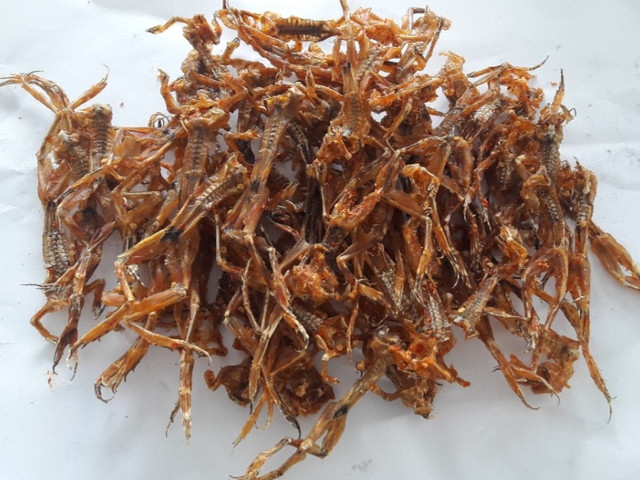 Bật mí các món ngon từ đặc sản “vũ nữ chân dài” của miền Tây - Hình 5 Bat mi cac mon ngon tu dac san “vu nu chan dai” cua mien Tay-Hinh-5