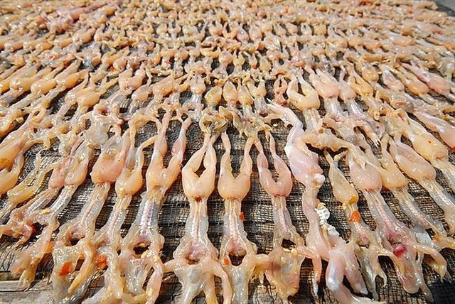 Bật mí các món ngon từ đặc sản “vũ nữ chân dài” của miền Tây - Hình 3 Bat mi cac mon ngon tu dac san “vu nu chan dai” cua mien Tay-Hinh-3