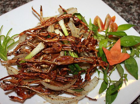 Bật mí các món ngon từ đặc sản “vũ nữ chân dài” của miền Tây - Hình 9 Bat mi cac mon ngon tu dac san “vu nu chan dai” cua mien Tay-Hinh-9