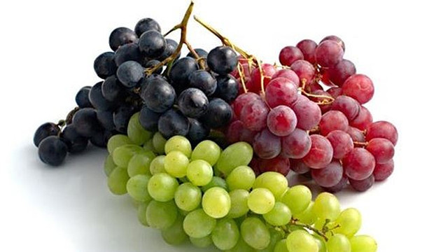 Ăn nho 1 tháng và nhận cái kết đầy bất ngờ - Hình 9 An nho 1 thang va nhan cai ket day bat ngo-Hinh-9