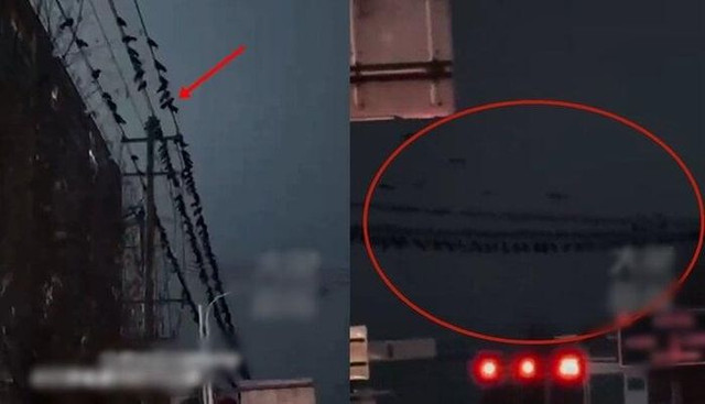 Sung sot loat hien tuong bi an xay ra truoc dong dat o Trung Quoc-Hinh-3