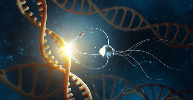 Con người sẽ bất tử vào năm 2030 nhờ sự trợ giúp của nanobot? - Hình 4 Con nguoi se bat tu vao nam 2030 nho su tro giup cua nanobot?-Hinh-4