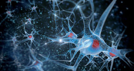 Con người sẽ bất tử vào năm 2030 nhờ sự trợ giúp của nanobot? - Hình 9 Con nguoi se bat tu vao nam 2030 nho su tro giup cua nanobot?-Hinh-9