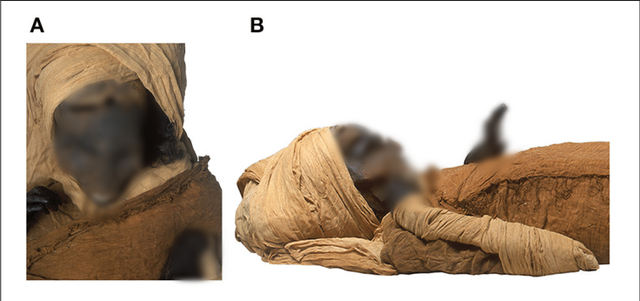 Phát hiện bất ngờ về cái chết của pharaoh Ai Cập - Hình 3 Phat hien bat ngo ve cai chet cua pharaoh Ai Cap-Hinh-3