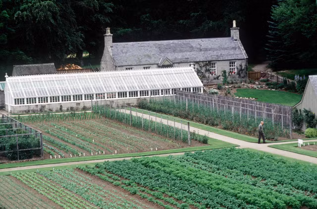 Kham pha toa lau dai co kinh o Scotland cua Hoang gia Anh-Hinh-6