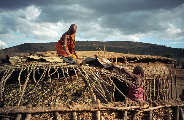 Vì sao bộ tộc người Maasai lấy phân trâu bò để xây nhà? - Hình 5 Vi sao bo toc nguoi Maasai lay phan trau bo de xay nha?-Hinh-5