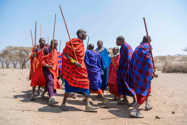 Vì sao bộ tộc người Maasai lấy phân trâu bò để xây nhà? - Hình 2 Vi sao bo toc nguoi Maasai lay phan trau bo de xay nha?-Hinh-2