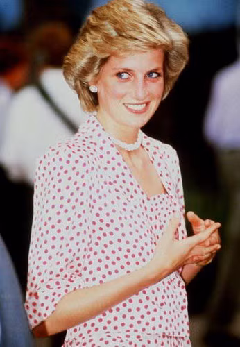 Dieu it biet ve tang le cua Cong nuong Diana-Hinh-8