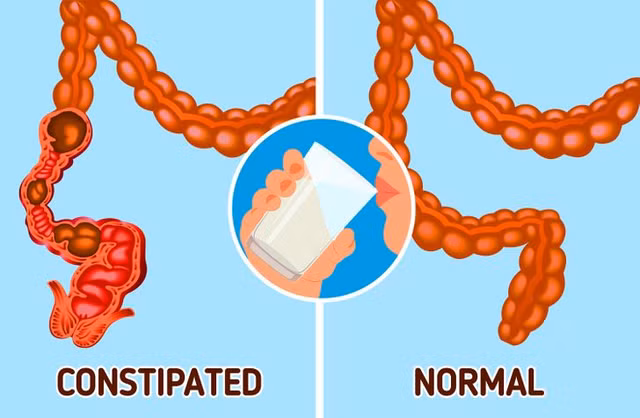 Bi quyet giup cai thien tieu hoa hoat dong tron tru-Hinh-5