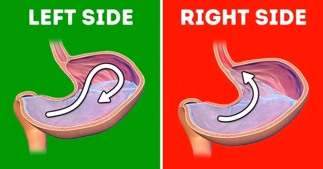 Bi quyet giup cai thien tieu hoa hoat dong tron tru