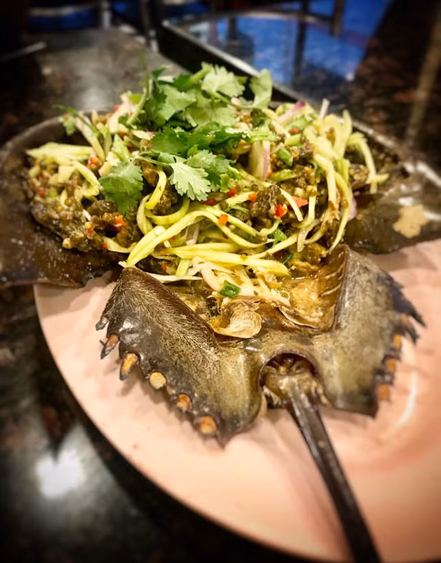 Du khach tai mat voi mon goi trung cua mong ngua o Thai-Hinh-6