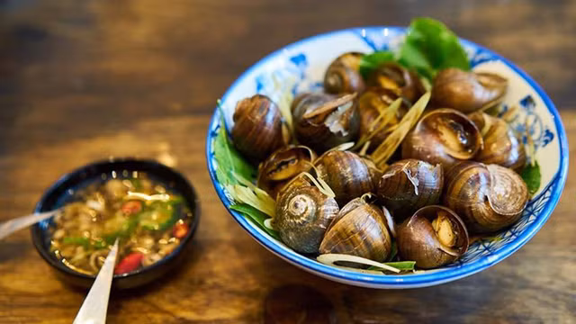 Nhung doi tuong tuyet doi khong nen an oc